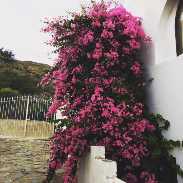Mojacar Home With Mountain Views Dış mekan fotoğraf